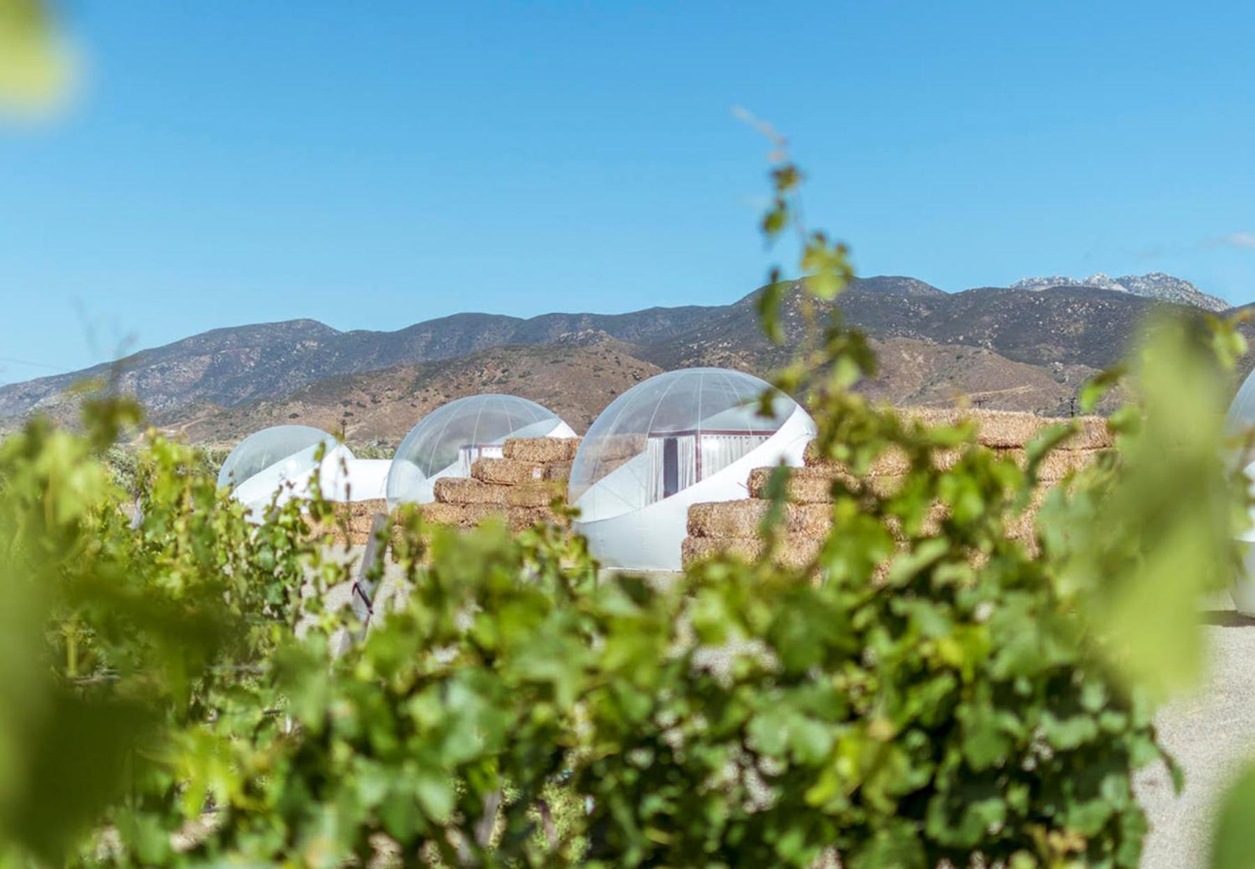 Hotel Campera Valle De Guadalupe Ensenada Exterior foto