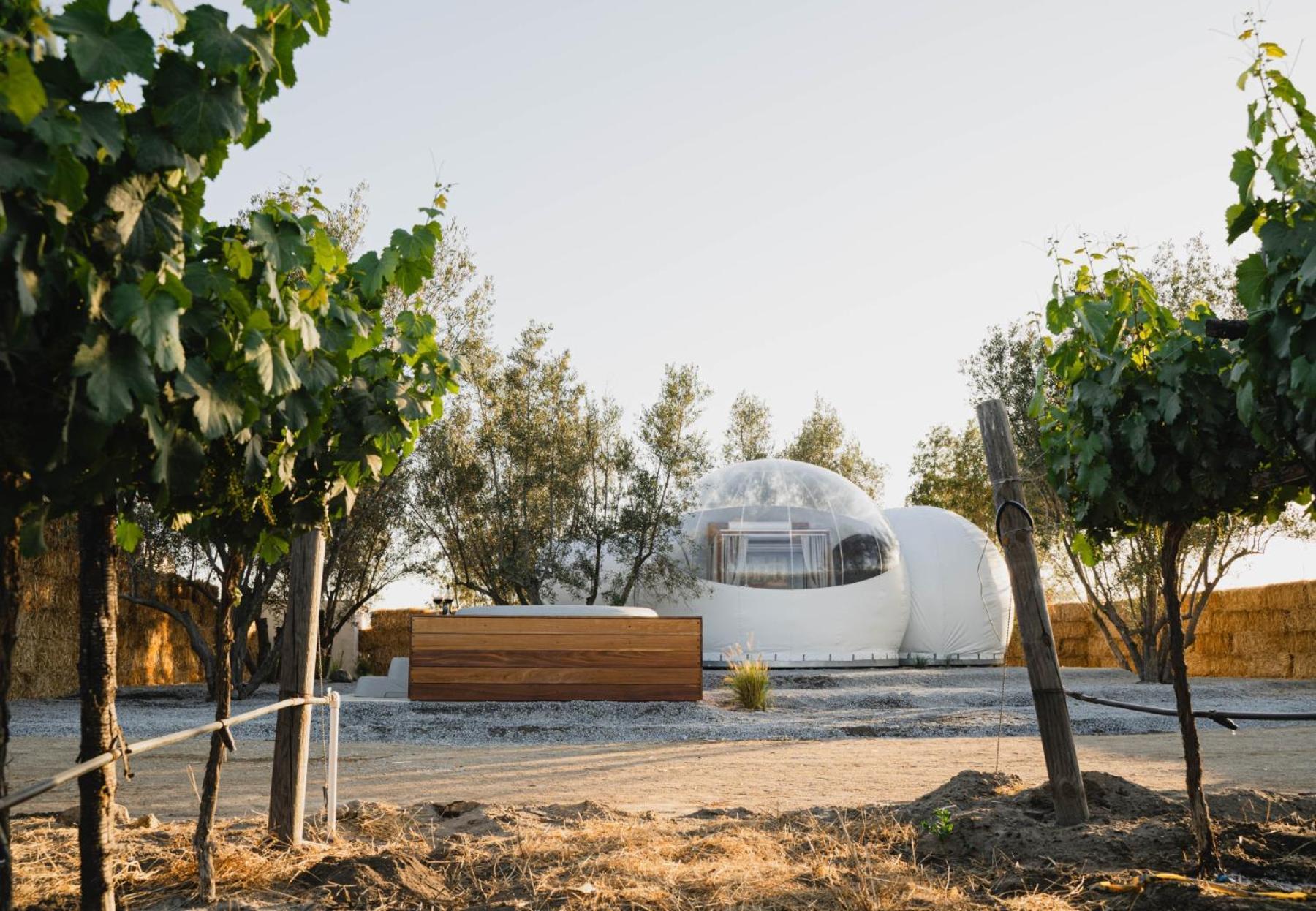 Hotel Campera Valle De Guadalupe Ensenada Exterior foto