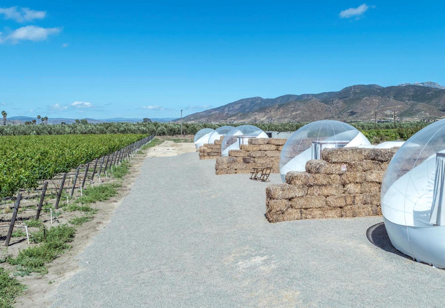 Hotel Campera Valle De Guadalupe Ensenada Exterior foto